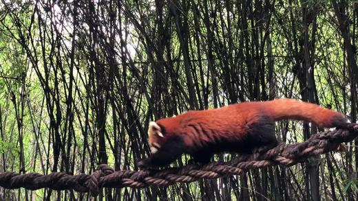 水印图片商品 商品图0