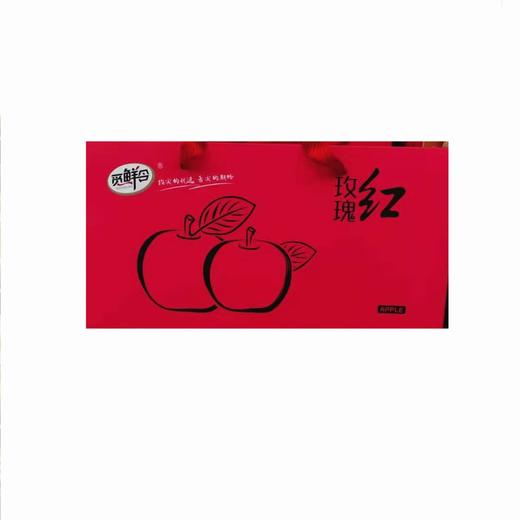 玫瑰红礼盒二合一手提 商品图0