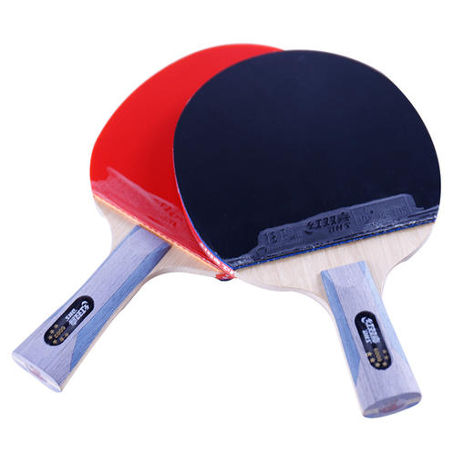 红双喜6星乒乓球拍6002横拍  ZJ 商品图1