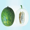 [专业种子] “绿翠83 ”光皮甜瓜种子 商品缩略图0