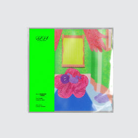 AFDT唱片画『我是从哪里来的-上天带来的』▏10寸