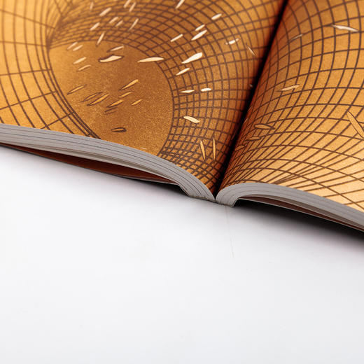 正版《图解果壳中的宇宙》与霍金一起探索平行宇宙的多重历史 商品图2