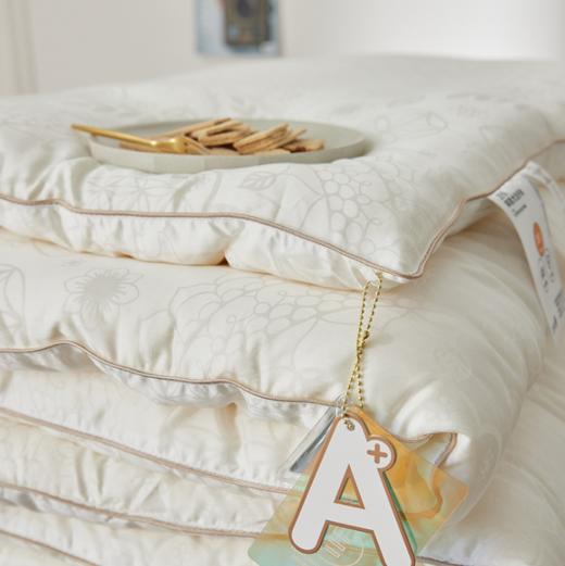 【床上用品】*升级35%大豆纤维冬被加厚单人被芯春秋被空调被四季保暖双人被子 商品图0