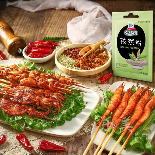 味好美调味粉袋装胡椒粉咖喱粉孜然粉盐焗鸡粉五香粉系列 商品图12