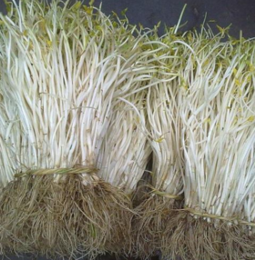 溧阳白芹 5斤装带盒 严家湾