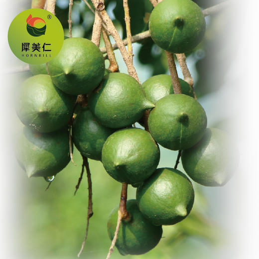 云南迪思开口笑礼盒(自然味168g*10） 商品图2