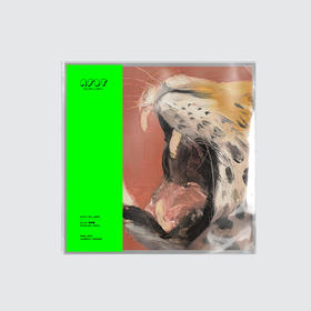 AFDT唱片画『Zsx_vp003』▏12寸