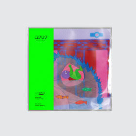 AFDT唱片画『我是从哪里来的-河流带来的』▏10寸