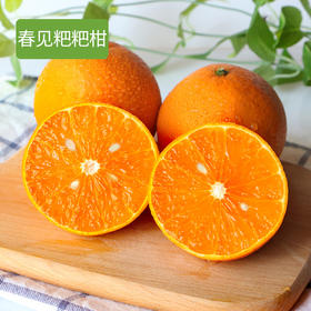 【上新咯】春见粑粑柑 精品大果5斤/9斤装