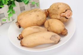 生态鲜莲藕 清香甜糯 煲汤、清炒、凉拌皆宜 ~~永继农场