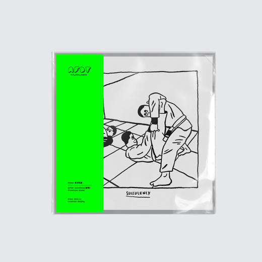 AFDT唱片画『柔术实战』▏12寸 商品图0