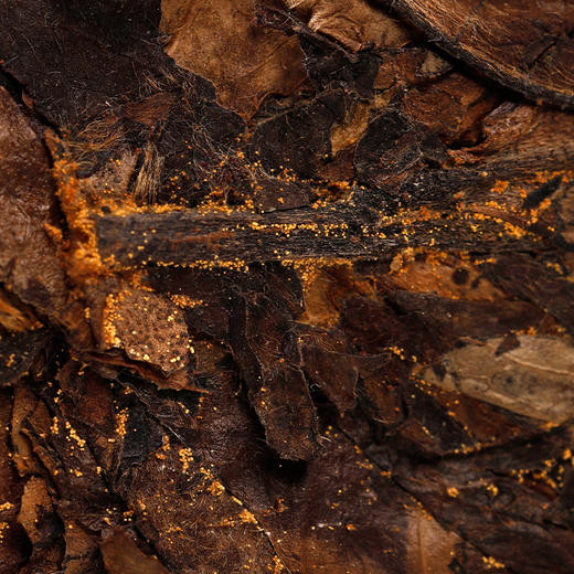 福金花·紧压金花白茶2011·藏金8522简易装1800g 商品图1