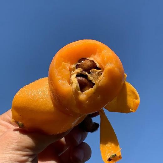 攀枝花高山米易五星枇杷 商品图1