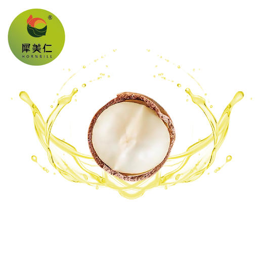 云南迪思坚果油500ml-2.8L 商品图1