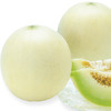 [专业种子] “古拉巴”光皮甜瓜种子 商品缩略图0