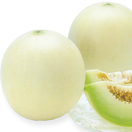 [专业种子] “古拉巴”光皮甜瓜种子 商品图0