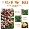 佰味农手剥奶油山核桃  1200g（200g*6罐）CX 商品缩略图2