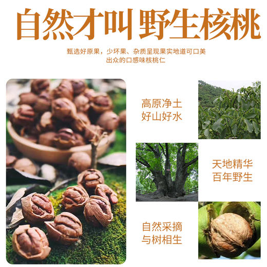 佰味农手剥奶油山核桃  1200g（200g*6罐）CX 商品图2