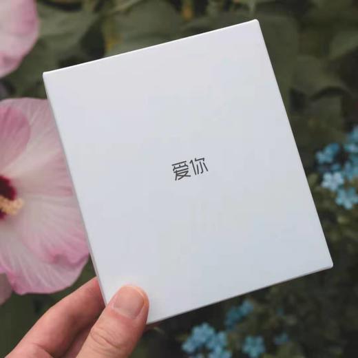 经典款欧洲原产INEED 爱你男士全功能T恤衫 商品图6