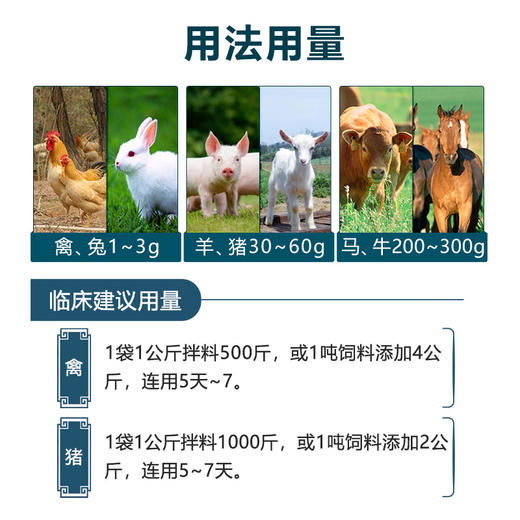 【巨龙肺热宁】麻杏石甘散肺热咳喘中兽药马牛羊猪兔鸡鸭药1kg/袋 商品图2