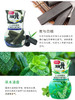 日本进口小林制药房间用室内消臭元空气清新剂芳香剂 清新植物香  400ml 商品缩略图1
