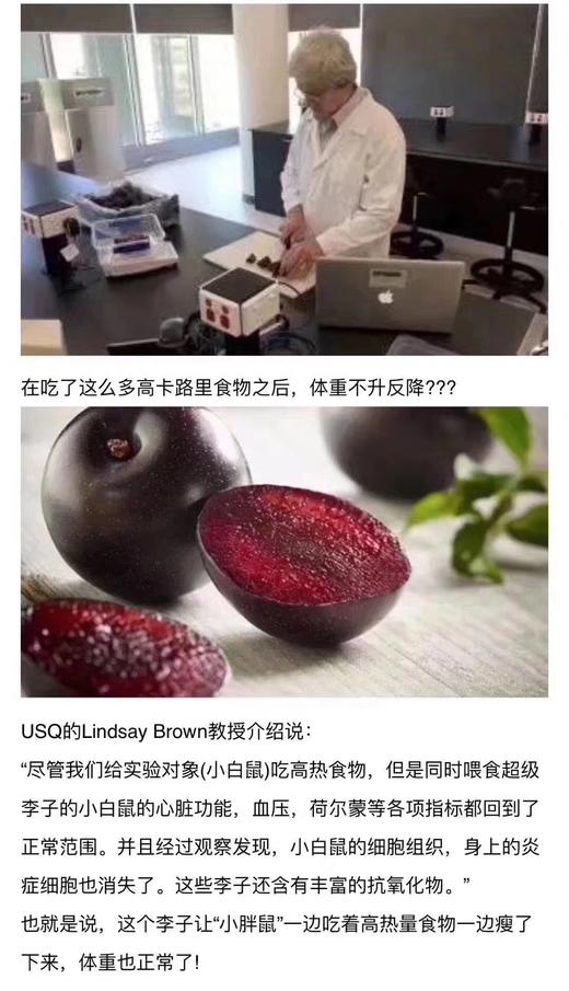 【澳洲减肥李】放软纯甜 神奇水果（含超高花青素，能减肥的李子）皮酸肉甜1Kg约10枚 商品图11