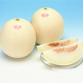 [专业种子] “西薄洛托二号”光皮甜瓜种子