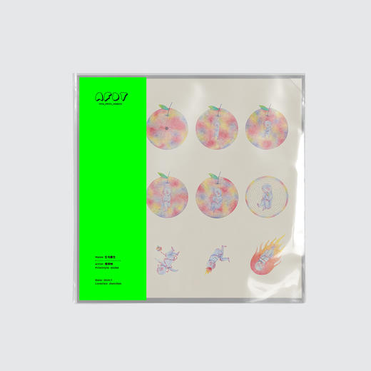 AFDT唱片画『生与重生』▏12寸 商品图0