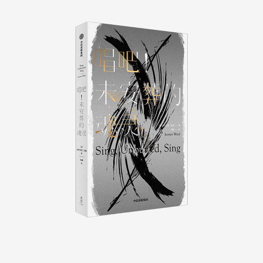 唱吧 未安葬的魂灵 杰斯米妮瓦德 著 外国小说 时代周刊纽约时报年度十大好书 反歧视 庭记忆 生命旅程 死亡 黑人文学 中信 商品图1
