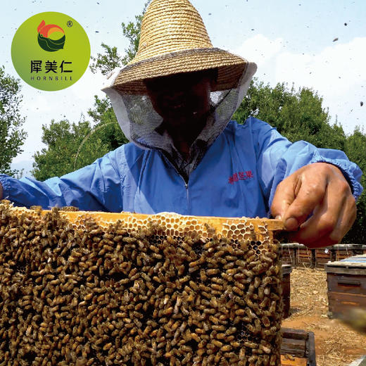 云南迪思坚果花蜜(500g) 商品图2