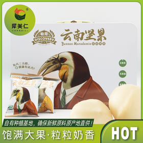 云南迪思坚果仁（26g*20袋/盒）