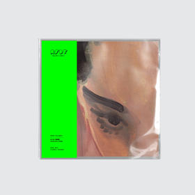 AFDT唱片画『Zsx_vp001』▏12寸