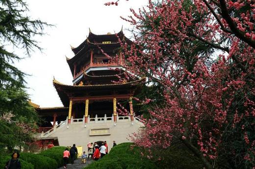 2.22南京梅花山&雨花台、湖州“小众”双林古镇&“央视推荐”东方梅园、杭州灵峰探梅6天摄影团 商品图5