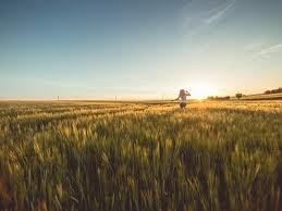 木易测试商品评价 商品图0