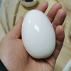 丨生态丨鹅蛋 新鲜鹅蛋 商品缩略图2
