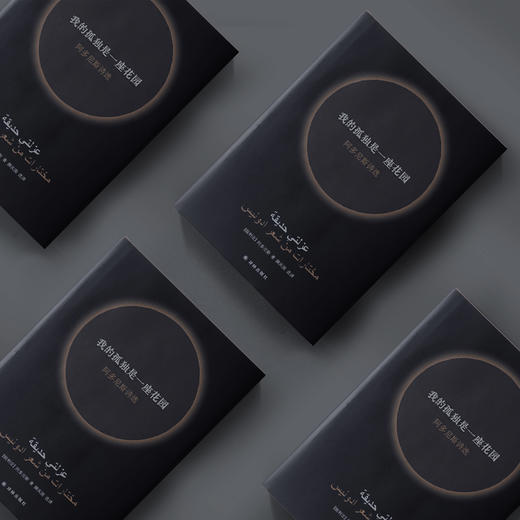 《我的孤独是一座花园：阿多尼斯诗选》 商品图7