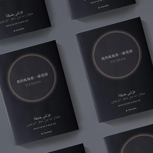 《我的孤独是一座花园：阿多尼斯诗选》 商品图6