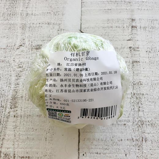 有机甘蓝 Organic Cabbage 商品图1