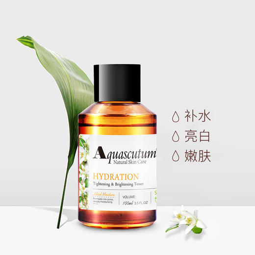 雅格狮丹紧致亮肤爽肤水100ml 商品图1