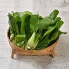 有机鸡毛菜 Organic Baby Bok Choy 商品缩略图0