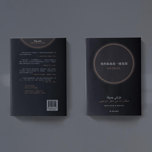 《我的孤独是一座花园：阿多尼斯诗选》 商品图5
