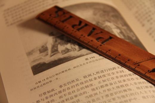 全球通史 斯塔夫里阿诺斯从史前史到21世纪上下两册原版青少年版第7版 商品图2