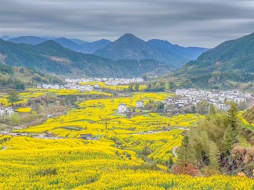 3.16出发【江西】婺源·春色油菜花、景德镇深度4天摄影团 商品图5