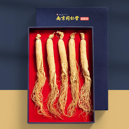 【礼盒】南京同仁堂国医馆 整枝干人参礼盒 商品图0