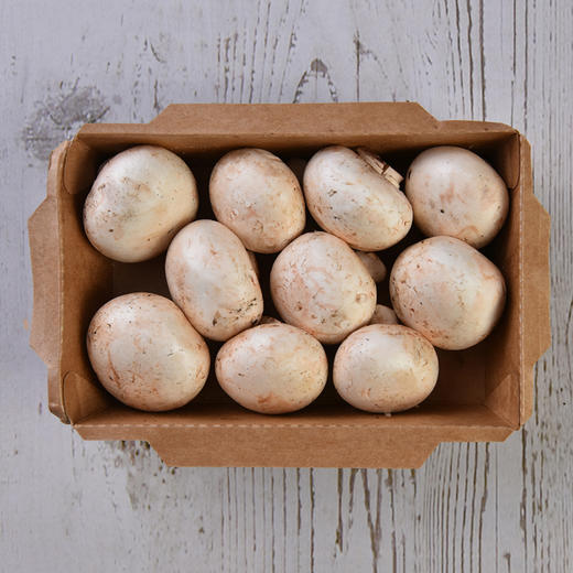蘑菇 Button Mushroom 150g 商品图1