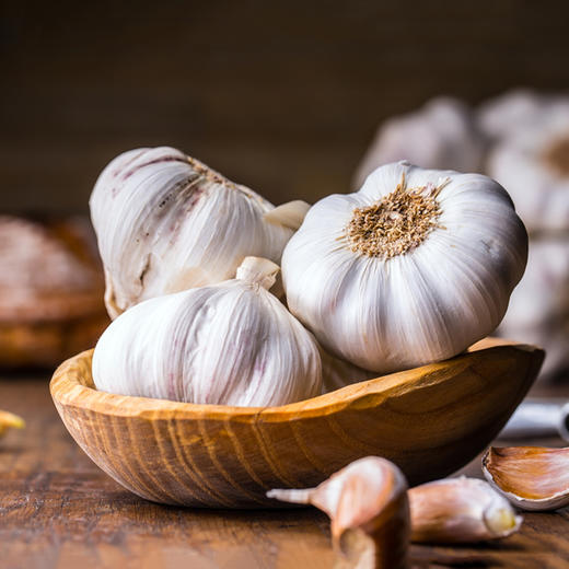 蒜头 Garlic 商品图0