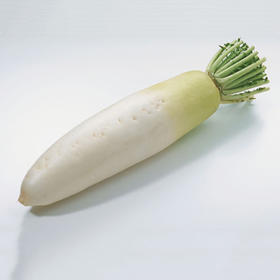 有机白萝卜Organic Turnip 500g/根