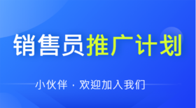 销售员推广计划