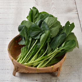 小松菜  Komatsuna ( 250g )