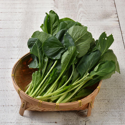 小松菜  Komatsuna ( 250g ) 商品图0